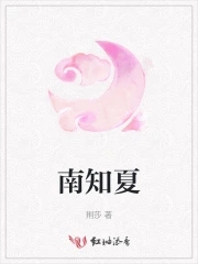 南知意简介